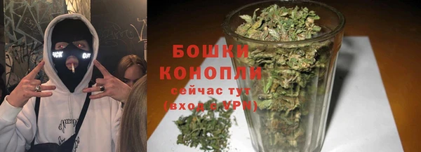 2c-b Белокуриха