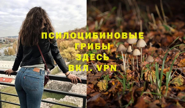 спайс Белоозёрский